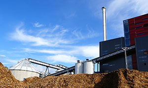 Danmarks forbrug af biomasse til energi holder historisk højt niveau